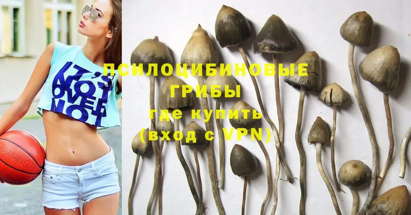 OMG ТОР  Верхняя Тура  Галлюциногенные грибы Psilocybine cubensis 